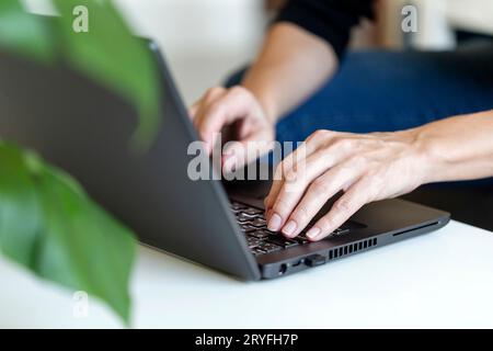 Young woman typing on laptop. Working at home, freelancer job concept, day light dynamic workplace. Stock Photo