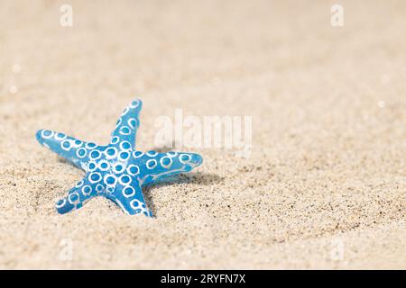 Summer background with blue seashell on beach sand background. Copy space Stock Photo