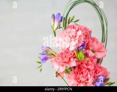 Beautiful freesia isolated on white Stock Photo - Alamy