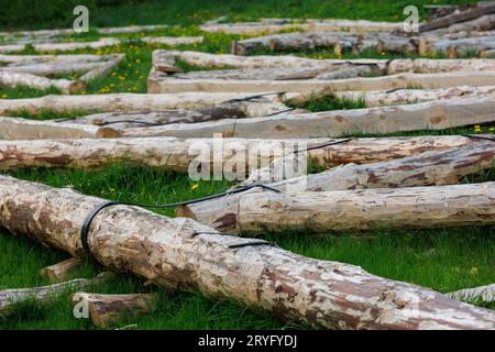 Forged steel stripe connection of wooden log beams for roof support girder framework laid on green grass at summer day Stock Photo