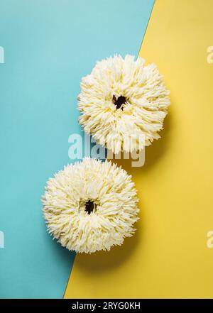 Shag donuts on blue-yellow background, copy space Stock Photo