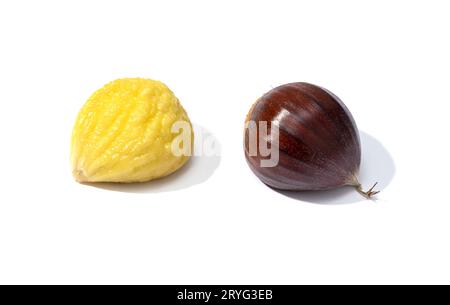 Raw and peeled sweet chestnut isolated on white background. Castanea sativa Stock Photo