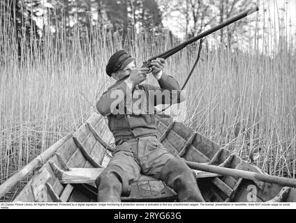 In the 1930s. A man sits in a rowing boat and aims his rifle upwards to shoot ducks. Sweden 1939. Kristoffersson ref 155-11 Stock Photo