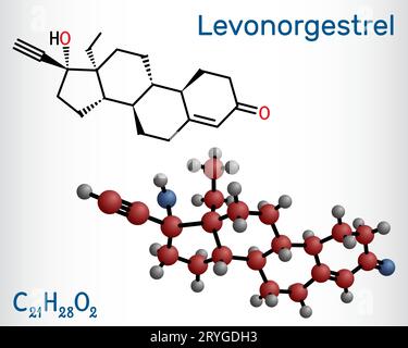 Levonorgestrel progestin molecule. It is synthetic progestogen, contraceptive. Structural chemical formula and molecule model. Stock Vector