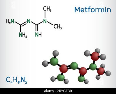 Metformin molecule. It is biguanide antihyperglycemic agent used in management of type II diabetes. Structural chemical formula, molecule model. Stock Vector