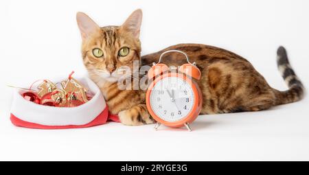 Conceptual photo of the meeting of the new year, a cat near the alarm clock and Christmas tree decorations. Stock Photo