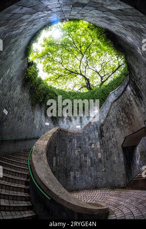 Fort canning tree tunnel Stock Photo