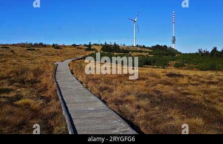 Raised bog on the Hornisgrinde with towers and windmill, Black Forest; Baden Wuerttemberg; Germany Stock Photo