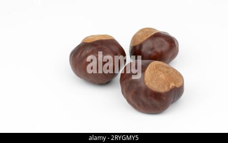 Chestnuts isolated on white background. Stock Photo