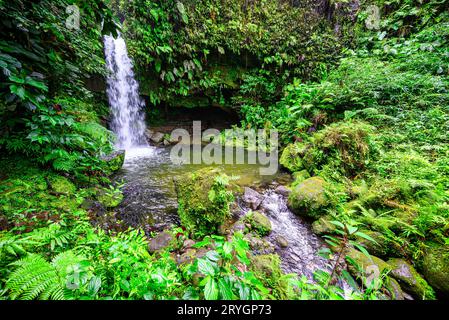 One of the most popular spots on the Caribbean island of Dominica is the Emerald Pool Stock Photo