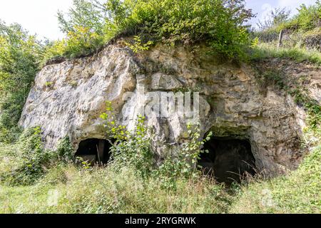 Rock formation with cave entrances surrounded by lush wild vegetation, uneven texture and cracks, Thier de Lanaye nature reserve in Belgian part of Si Stock Photo