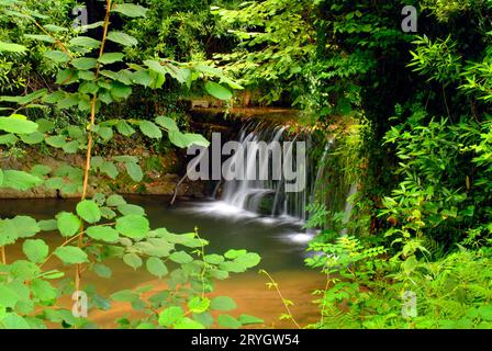 Small waterfall in a river among a riparian forest. Stock Photo