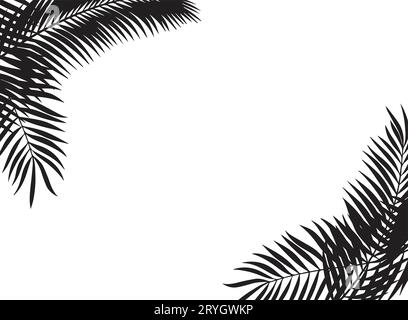 Black leaves of palm tree on white background.Vector illustration. Stock Vector