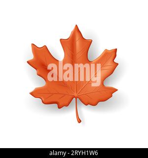 3d vector illustration of orange autumn maple leaf, detailed render realistic graphics, isolated Stock Vector