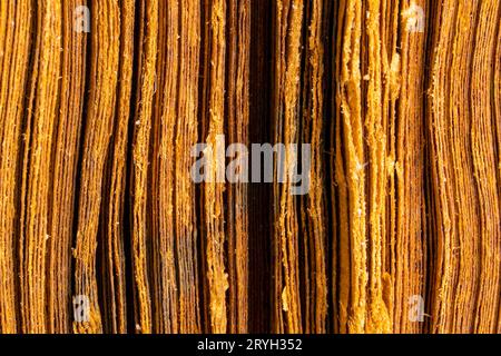 Closeup of old book pages in vertical format. Stock Photo