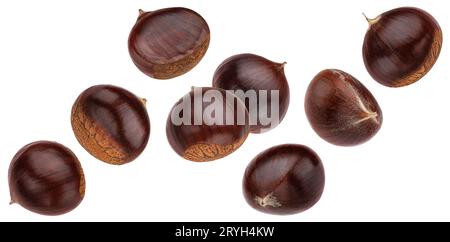 Falling chestnuts isolated on white background Stock Photo