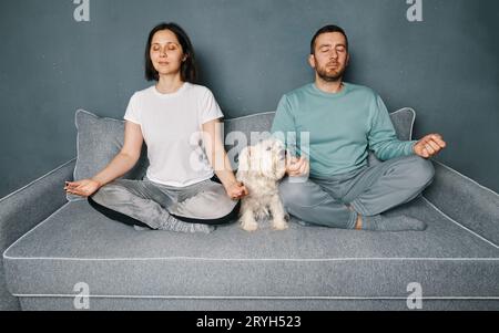 Yong couple practicing yoga Lotus pose and meditating sitting on sofa with their white dog Stock Photo