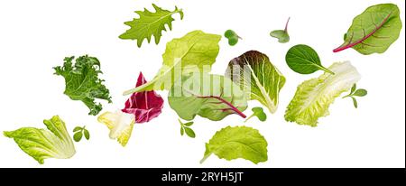 Falling salad leaves isolated on white background with clipping path Stock Photo
