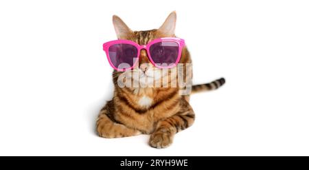 Funny red cat in pink glasses on a white background Stock Photo