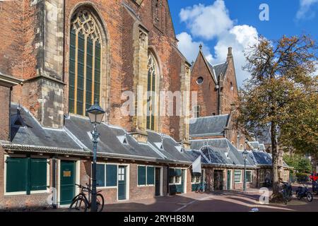 Church of Saint Bavo, Haarlem, Netherlands Stock Photo