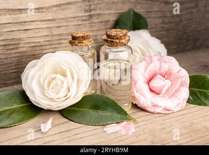 Camellia oil bottles and camellia flowers on rustic wooden table Stock Photo