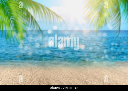 Blur of beautiful nature green palm leaf on tropical beach, abstract background. Stock Photo