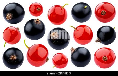 Black and red currant isolated on white background Stock Photo