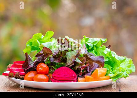 Closeup view of fresh raw green oak lettuce with slice of red radish, cherry tomatoes, slice of beetroot and pieces of carrot pi Stock Photo