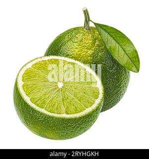 Lime citrus fruit isolated on white background Stock Photo