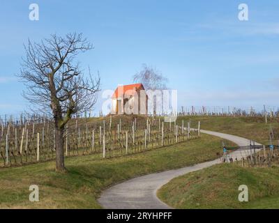 Small hut at a vineyard in middle burgenland austria Stock Photo