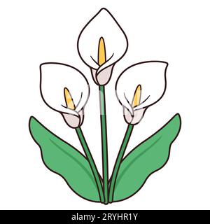 Calla lily flower bouquet drawing, simple and elegant design. Three white lilies with leaves, isolated vector illustration. Stock Vector