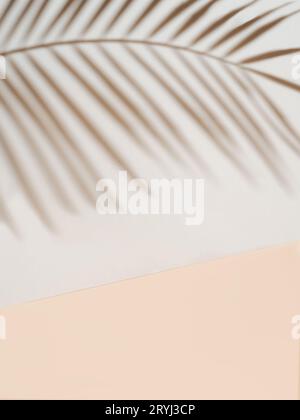 Palm leaf shadow on white wall, cream pastel floor Stock Photo