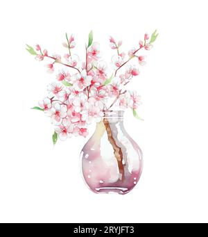 Spring blooming Twig in a glass vase. Pink cherry blossoms flowers. watercolor illustration Stock Photo