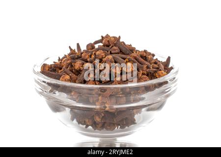 Dry aromatic cloves in a glass bowl, macro, isolated on white background. Stock Photo