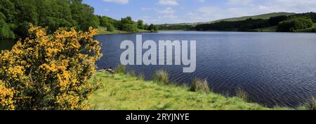 View over the Errwood Reservoir, near Buxton, Peak District National Park; Derbyshire, England, UK Stock Photo