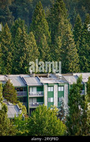 Top of low-rise residential building on green trees background Stock Photo