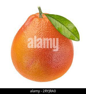 One whole grapefruit isolated on white background Stock Photo