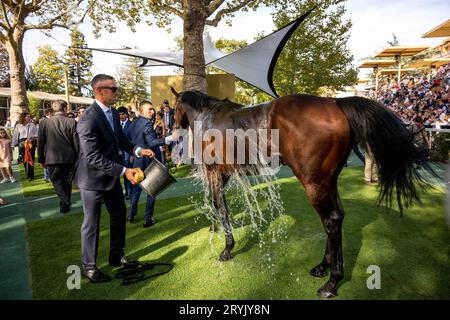 Paris, France. 01st Oct, 2023. Qatar Prix de l'Arc de Triomphe horserace, at Longchamp racetrack, in Paris, France, on October 1st, 2023. Photo by Ammar Abd Rabbo/ABACAPRESS.COM Credit: Abaca Press/Alamy Live News Stock Photo