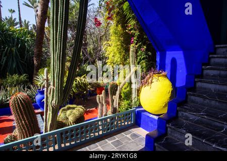 Amazing view on piece of blue building  and   different types of cacti in   Majorelle garden - local landmark in Marrakesh Stock Photo