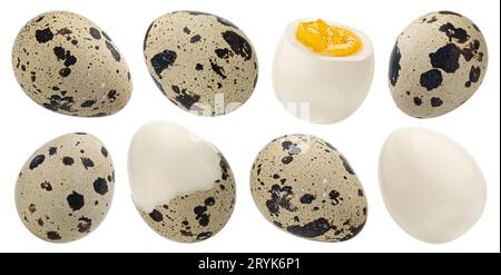 Quail eggs isolated on white background, collection Stock Photo