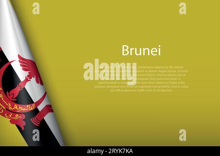 3d national flag Brunei isolated on background with copyspace Stock Vector
