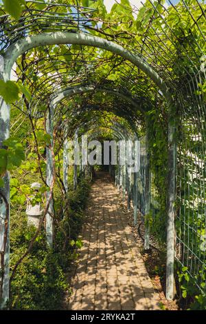 Botanical garden on the roof of the Warsaw University library modern architecture and greenery. Sustainable building architectur Stock Photo