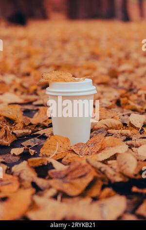 Eco zero waste white paper cup copy space mockup. Fall leaves and cup of tea coffee to go next to autumn nature. Unite with natu Stock Photo