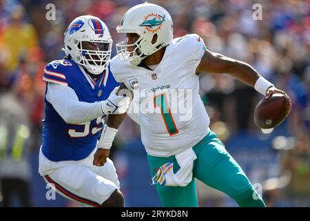 Pittsburgh, United States. 19th Aug, 2023. Pittsburgh Steelers quarterback  Mason Rudolph (2) and Buffalo Bills defensive end Kingsley Jonathan (59)  both reach for the fumble after Pittsburgh Steelers quarterback Mason  Rudolph (2)