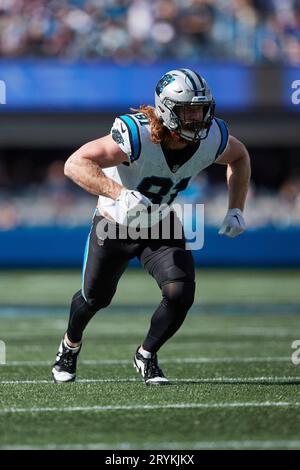 Photo: Bengals Hayden Hurst catchs over Panthers Myles Hartsfield -  KYP20221106010 