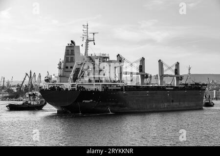 Bulk carrier and a tug boat enters in port of Varna, Bulgaria. Black and white photo Stock Photo
