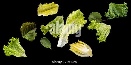 Falling salad leaves isolated on black background Stock Photo