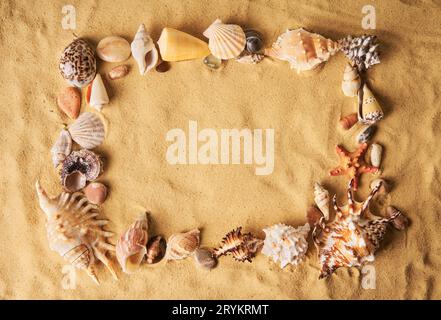 Seashells and starfish frame on sandy beach background with copy space Stock Photo
