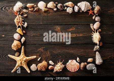 Seashells frame with copy space for text on dark wooden background Stock Photo