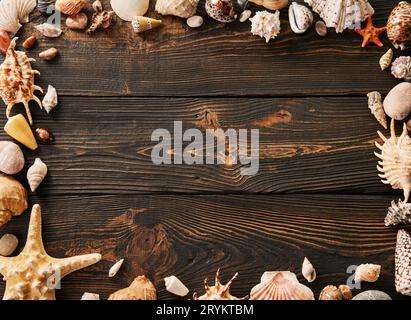 Seashells and starfish frame on dark wooden background with copy space for text, sea vacation border Stock Photo